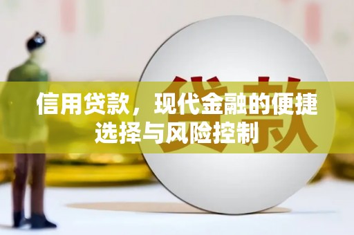 雄安新区信用贷款，现代金融的便捷选择与风险控制