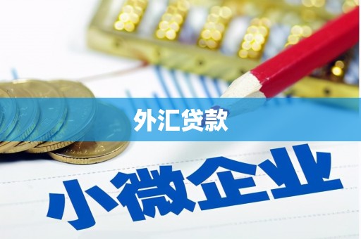 雄安新区外汇贷款