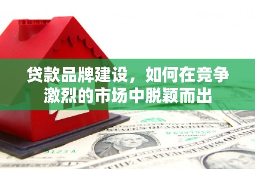 雄安新区贷款品牌建设，如何在竞争激烈的市场中脱颖而出