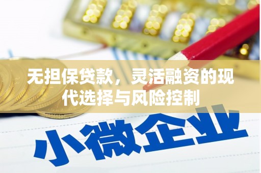 雄安新区无担保贷款，灵活融资的现代选择与风险控制
