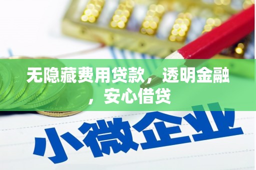 雄安新区无隐藏费用贷款，透明金融，安心借贷