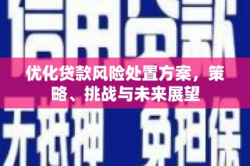雄安新区优化贷款风险处置方案，策略、挑战与未来展望