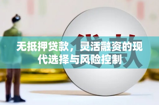 雄安新区无抵押贷款，灵活融资的现代选择与风险控制