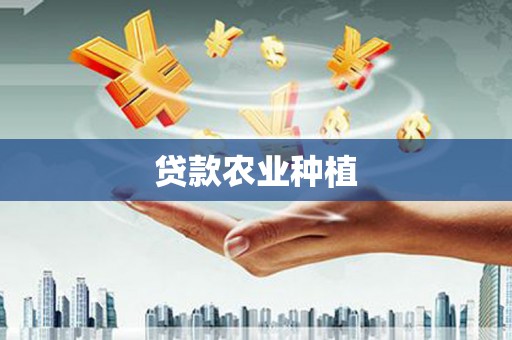 雄安新区贷款农业种植