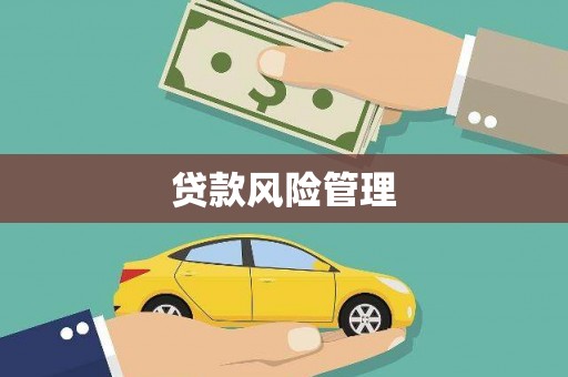 雄安新区贷款风险管理