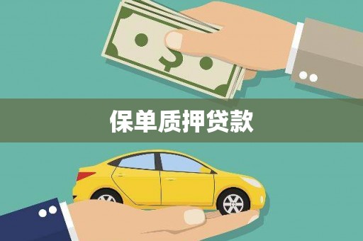 雄安新区保单质押贷款