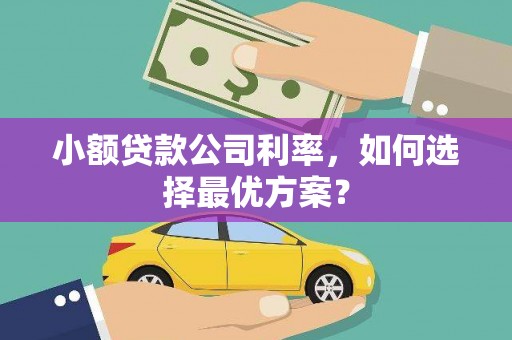 雄安新区小额贷款公司利率，如何选择最优方案？