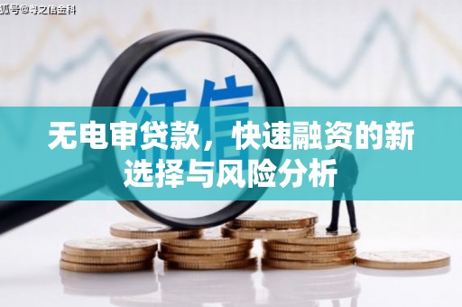 雄安新区无电审贷款，快速融资的新选择与风险分析