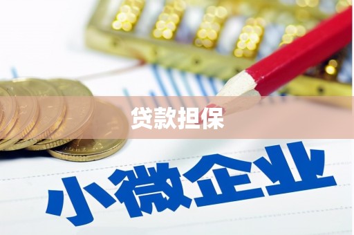 雄安新区贷款担保