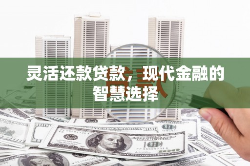 雄安新区灵活还款贷款，现代金融的智慧选择