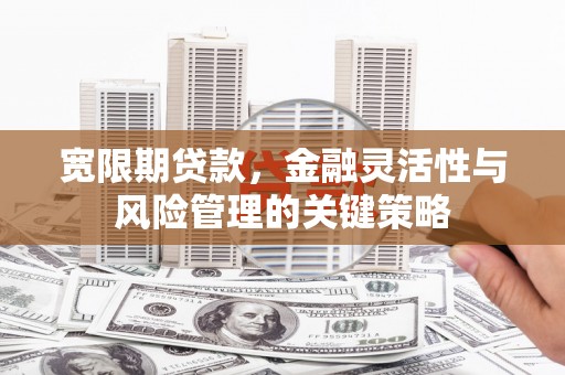雄安新区宽限期贷款，金融灵活性与风险管理的关键策略