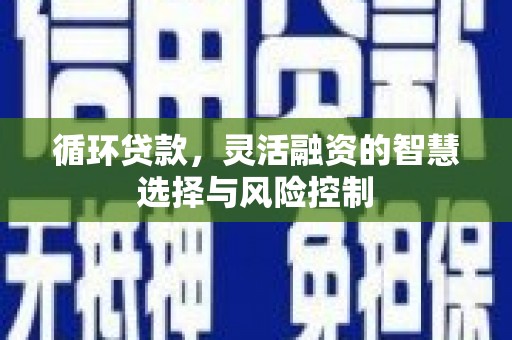 雄安新区循环贷款，灵活融资的智慧选择与风险控制