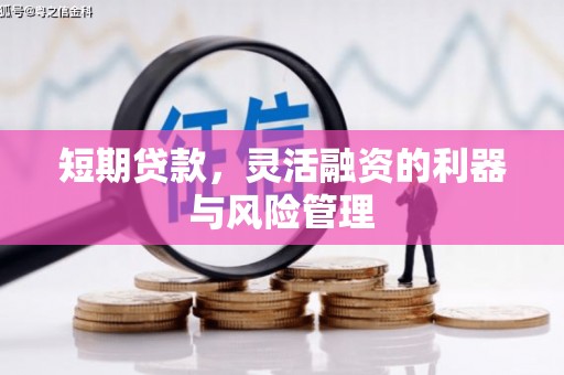 雄安新区短期贷款，灵活融资的利器与风险管理