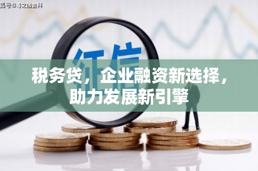 雄安新区税务贷，企业融资新选择，助力发展新引擎