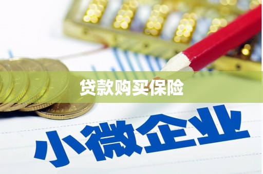 雄安新区贷款购买保险