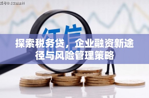雄安新区探索税务贷，企业融资新途径与风险管理策略