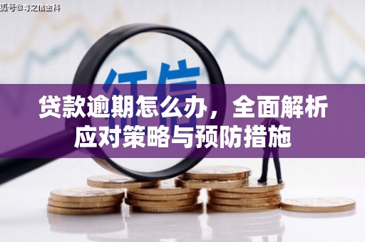 雄安新区贷款逾期怎么办，全面解析应对策略与预防措施