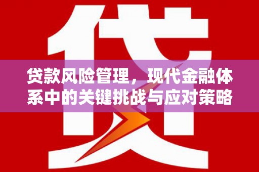 雄安新区贷款风险管理，现代金融体系中的关键挑战与应对策略