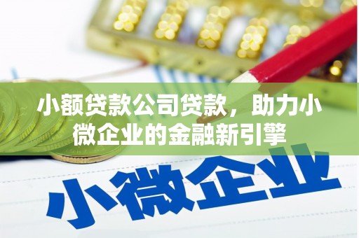 雄安新区小额贷款公司贷款，助力小微企业的金融新引擎
