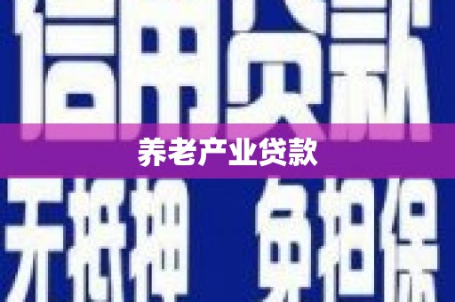 雄安新区养老产业贷款