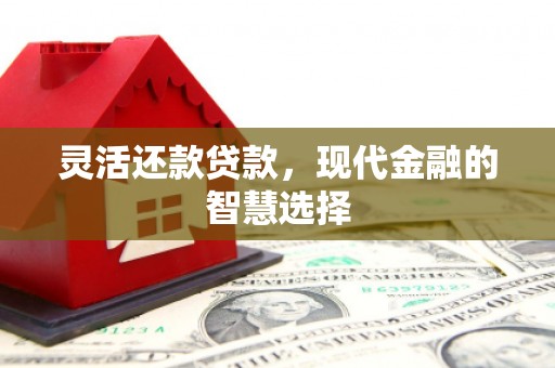 雄安新区灵活还款贷款，现代金融的智慧选择