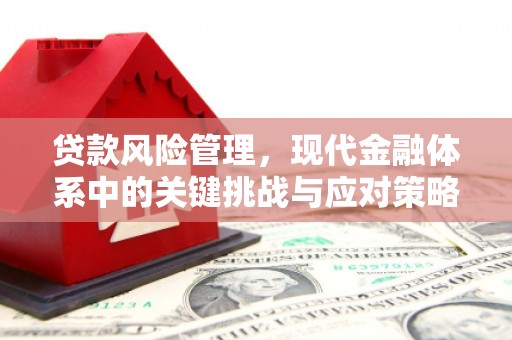 雄安新区贷款风险管理，现代金融体系中的关键挑战与应对策略