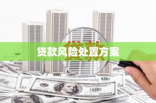 雄安新区贷款风险处置方案