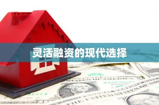 雄安新区灵活融资的现代选择