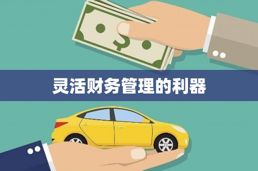 雄安新区灵活财务管理的利器