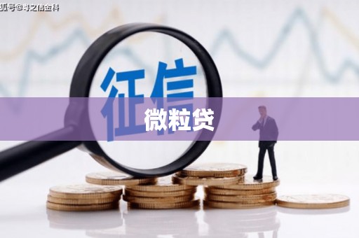 雄安新区微粒贷