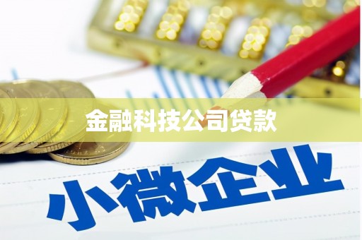 雄安新区金融科技公司贷款