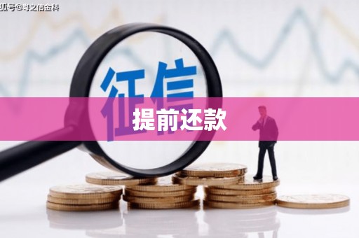 雄安新区提前还款
