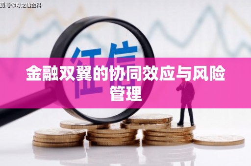 雄安新区金融双翼的协同效应与风险管理