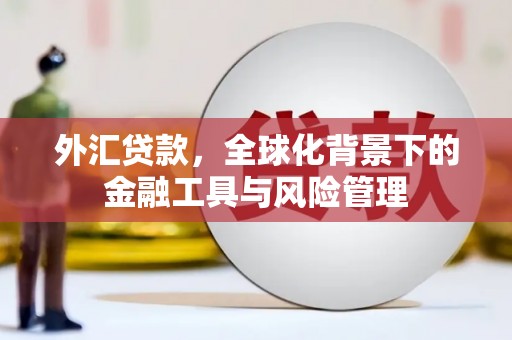 雄安新区外汇贷款，全球化背景下的金融工具与风险管理