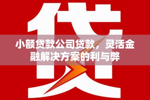 雄安新区小额贷款公司贷款，灵活金融解决方案的利与弊
