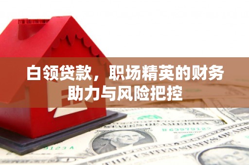 雄安新区白领贷款，职场精英的财务助力与风险把控